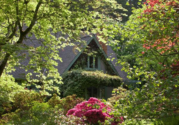 Cottage window peaking through a lush spring garden