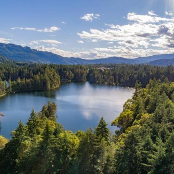 Aerial photo of a lake surrounded by tall trees and mountains