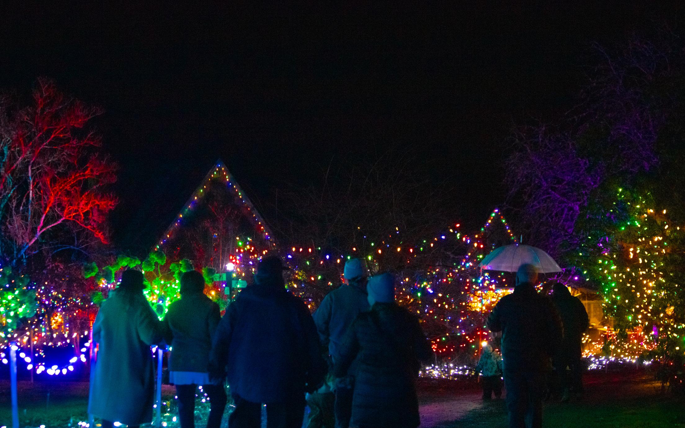 People walking through a garden at night, glowing with thousands of multicoloured Christmas lights.
