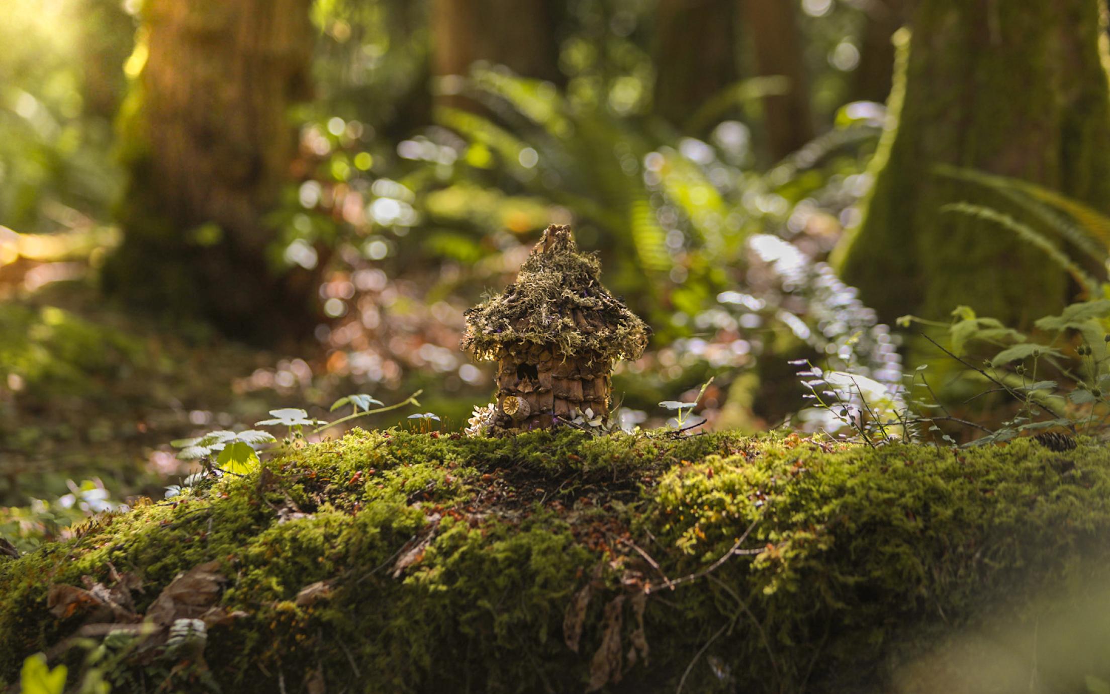 Small woodland fairy houses sitting on a mossy stump in the forest.