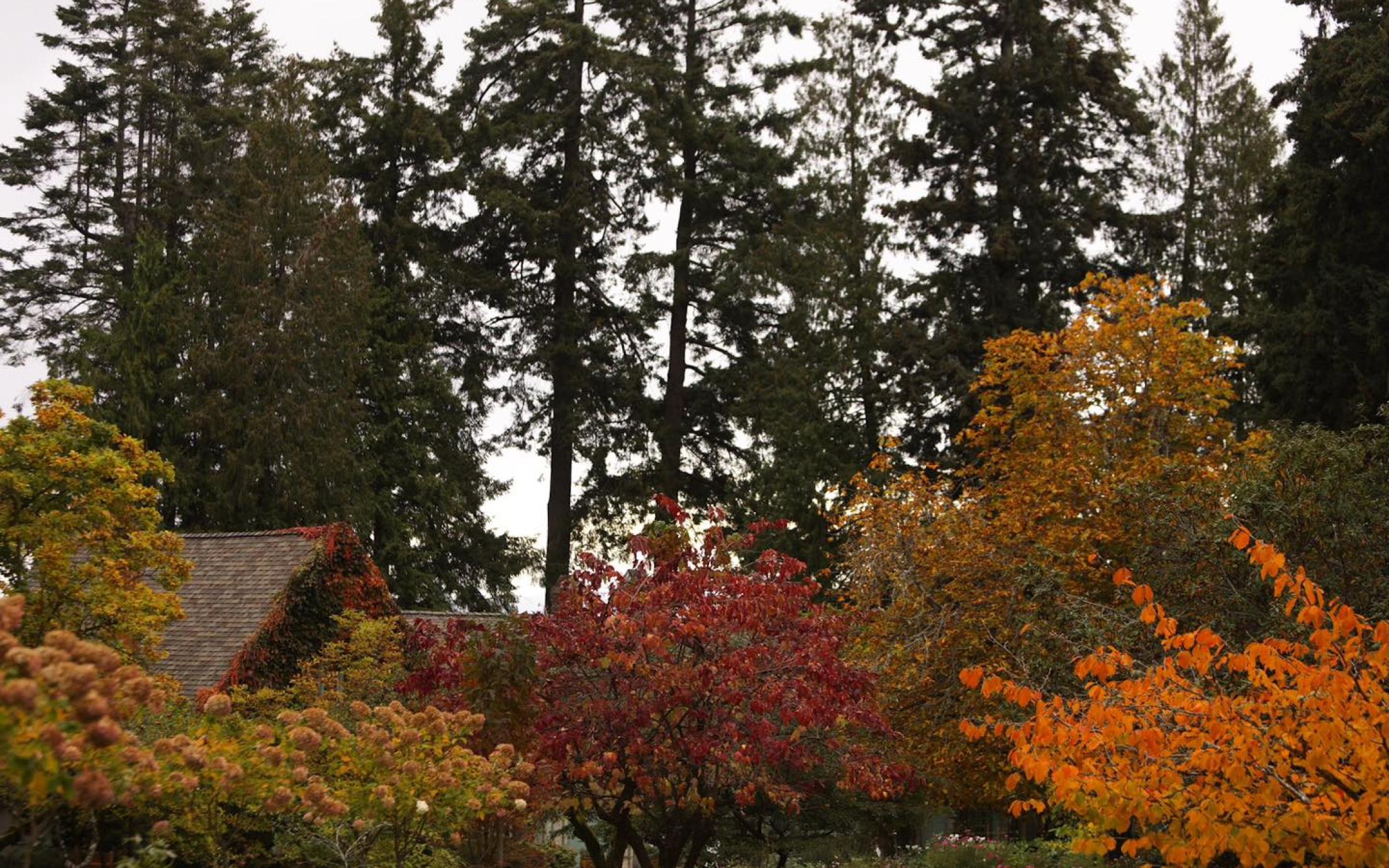 Fall gardens