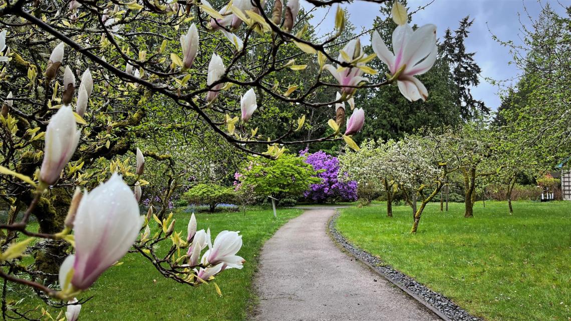 Orchard Path