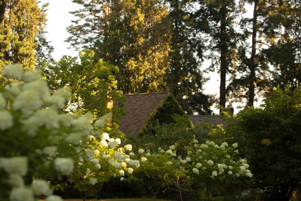 Cottage in a garden