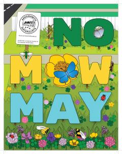 No Mow May poster