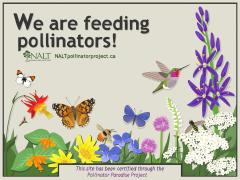 NALT Pollinator Paradise Project signage