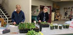 VIU Horticulture Students preparing Rhodo cuttings at G.R. Paine Centre 2022