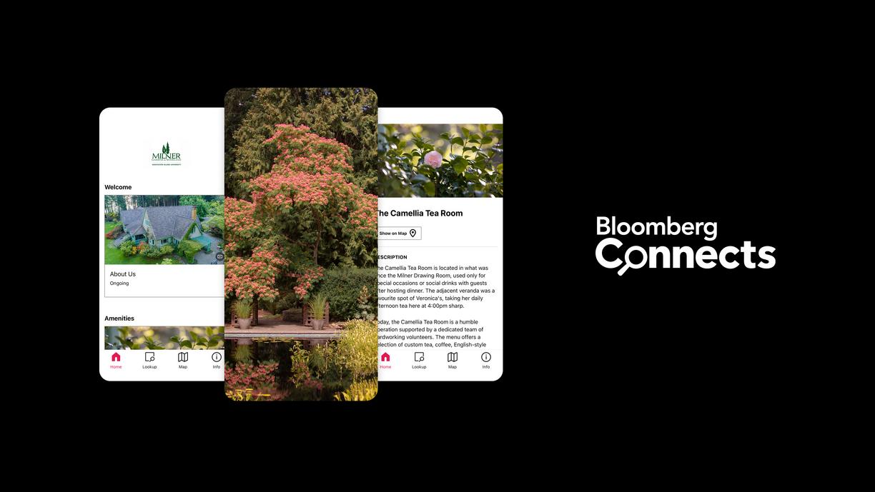 Bloomberg Connects digital guide advertisement 