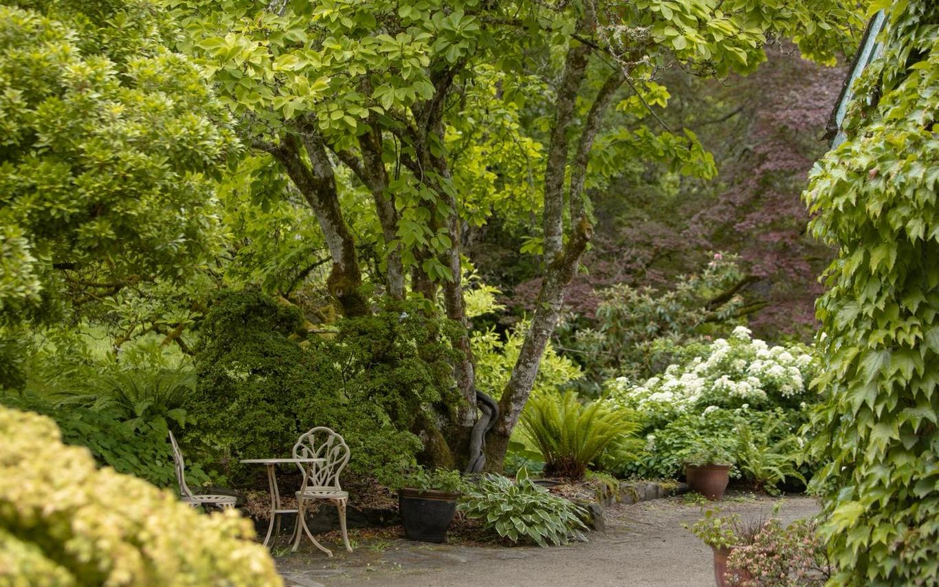 Lush garden with iron garden chairs and table
