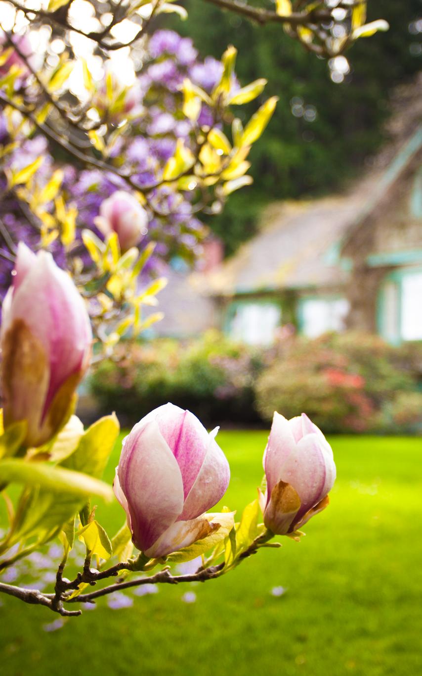 Milner Gardens and Forest