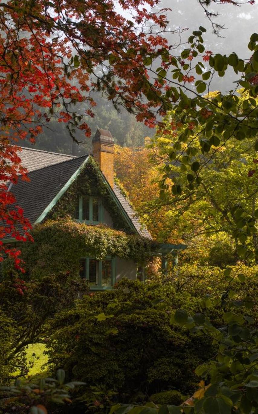 Cottage peeking through vibrant fall foliage